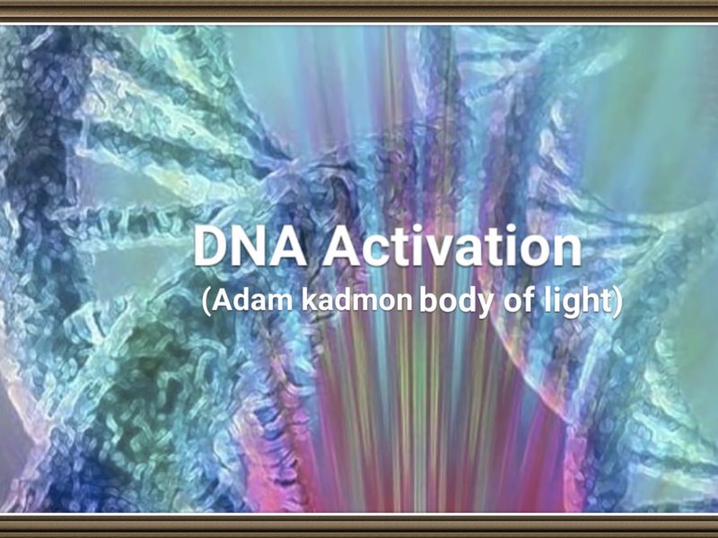 24 strand dna activation